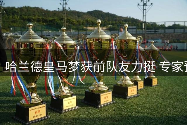 哈兰德皇马梦获前队友力挺 专家预测其将再攀高峰