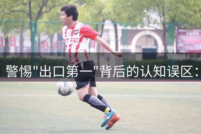 警惕"出口第一"背后的认知误区：中国汽车全球化之路任重道远